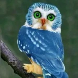 Meet your Posher, Vilma