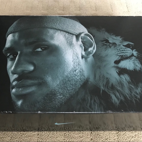 Lebron 8 V2 Entourage main image 6