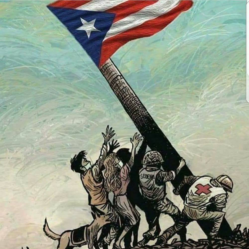 Meet your Posher, Carmen