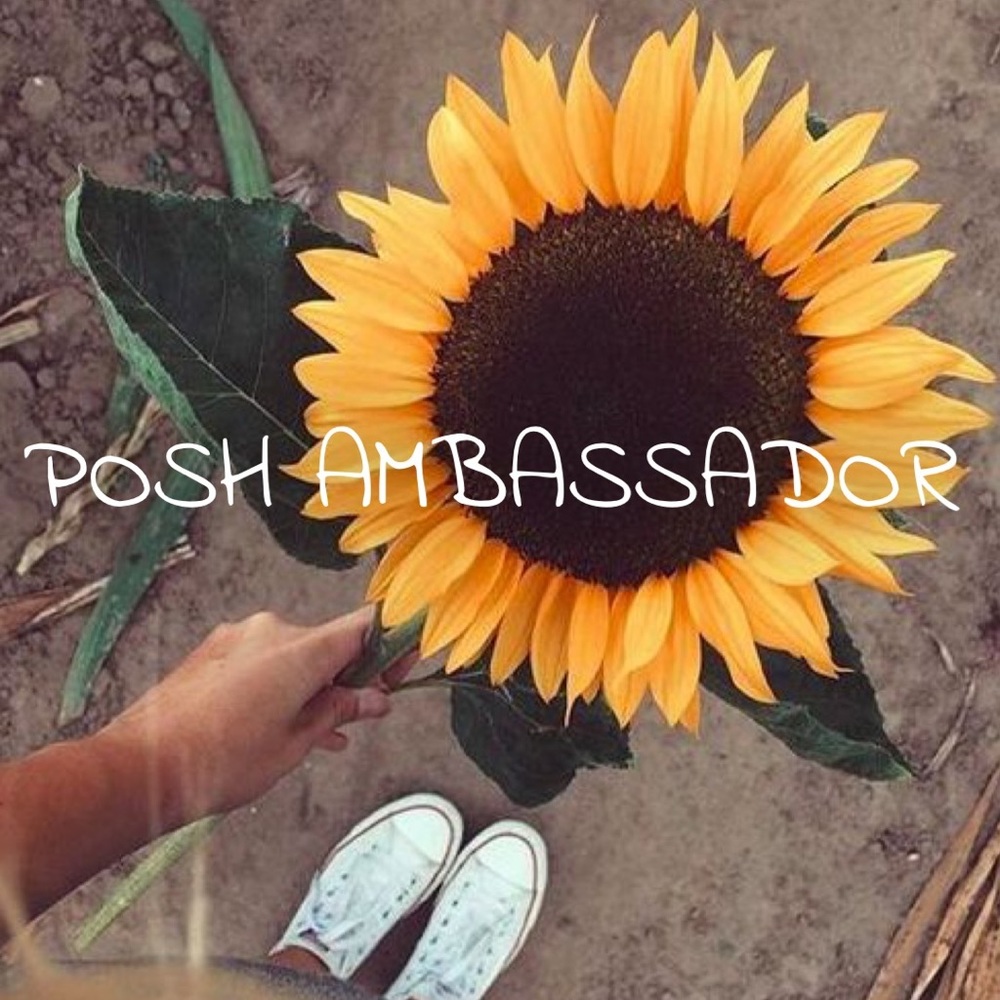 I'm a posh ambassador!! 🌻🌻🌻