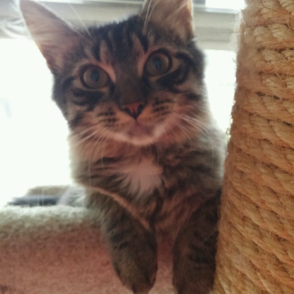 Meet your Posher, Sue