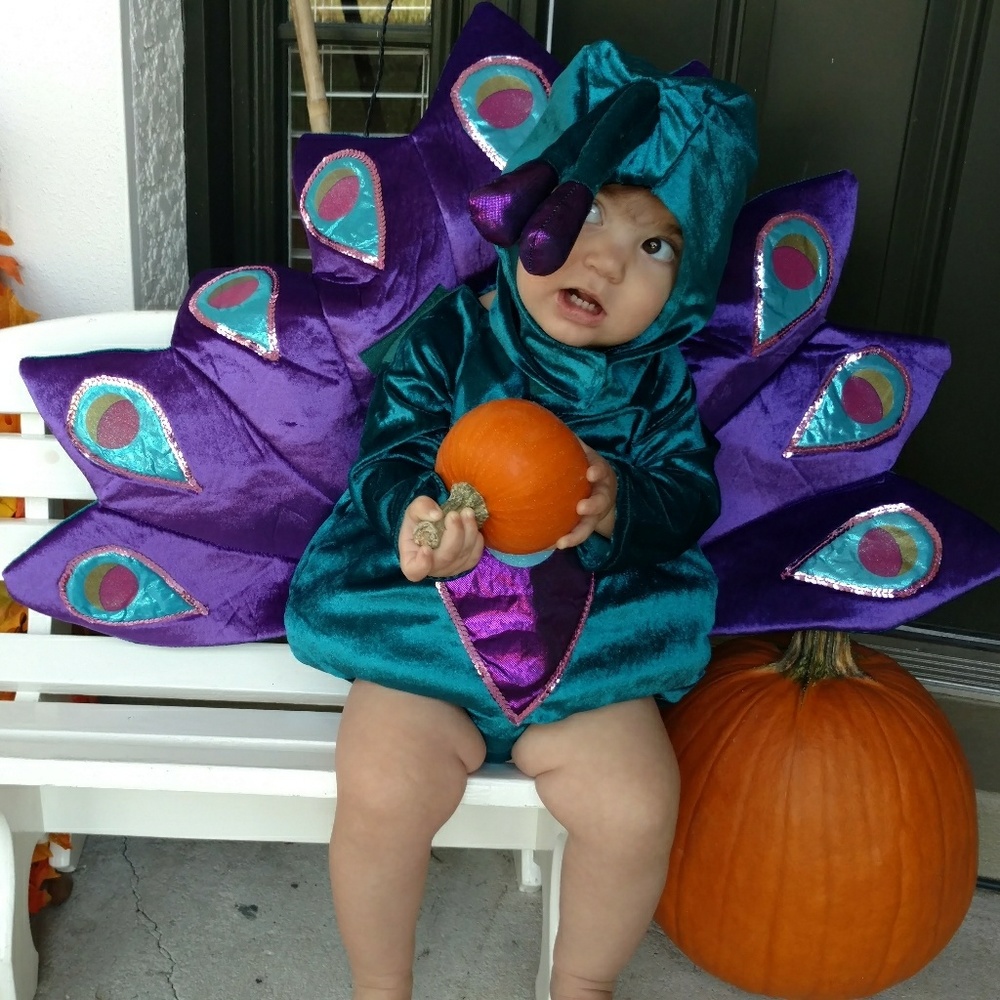 Darling peacock costume! Size 12-18 months