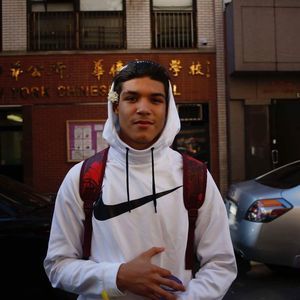 Meet your Posher, Frankie