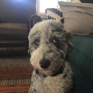 Meet your Posher, Patricia