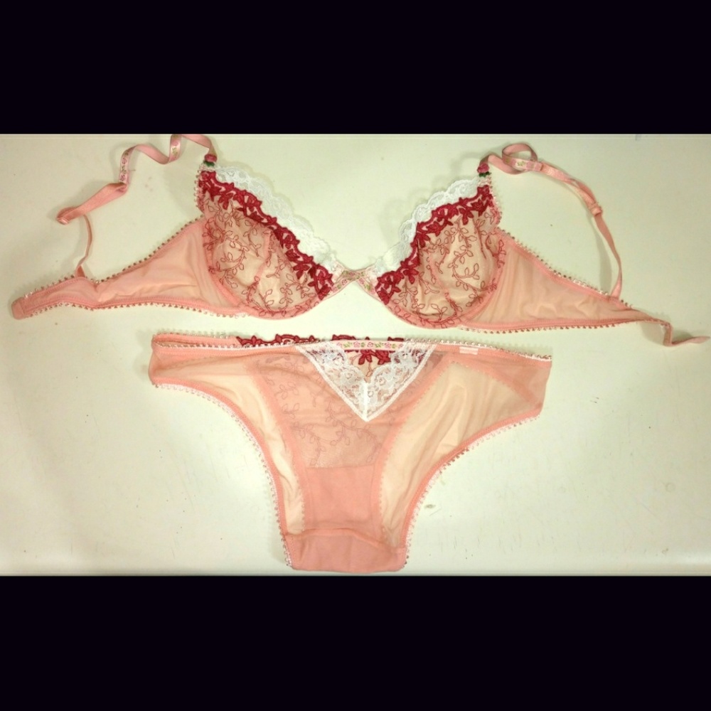 Victoria's Secret embroidered mesh bra & panty set