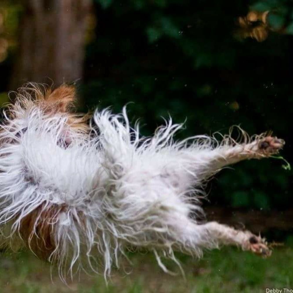 Meet your Posher, Zan