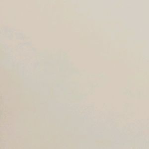 Meet your Posher, Luis