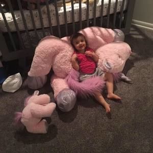 Meet your Posher, Lance