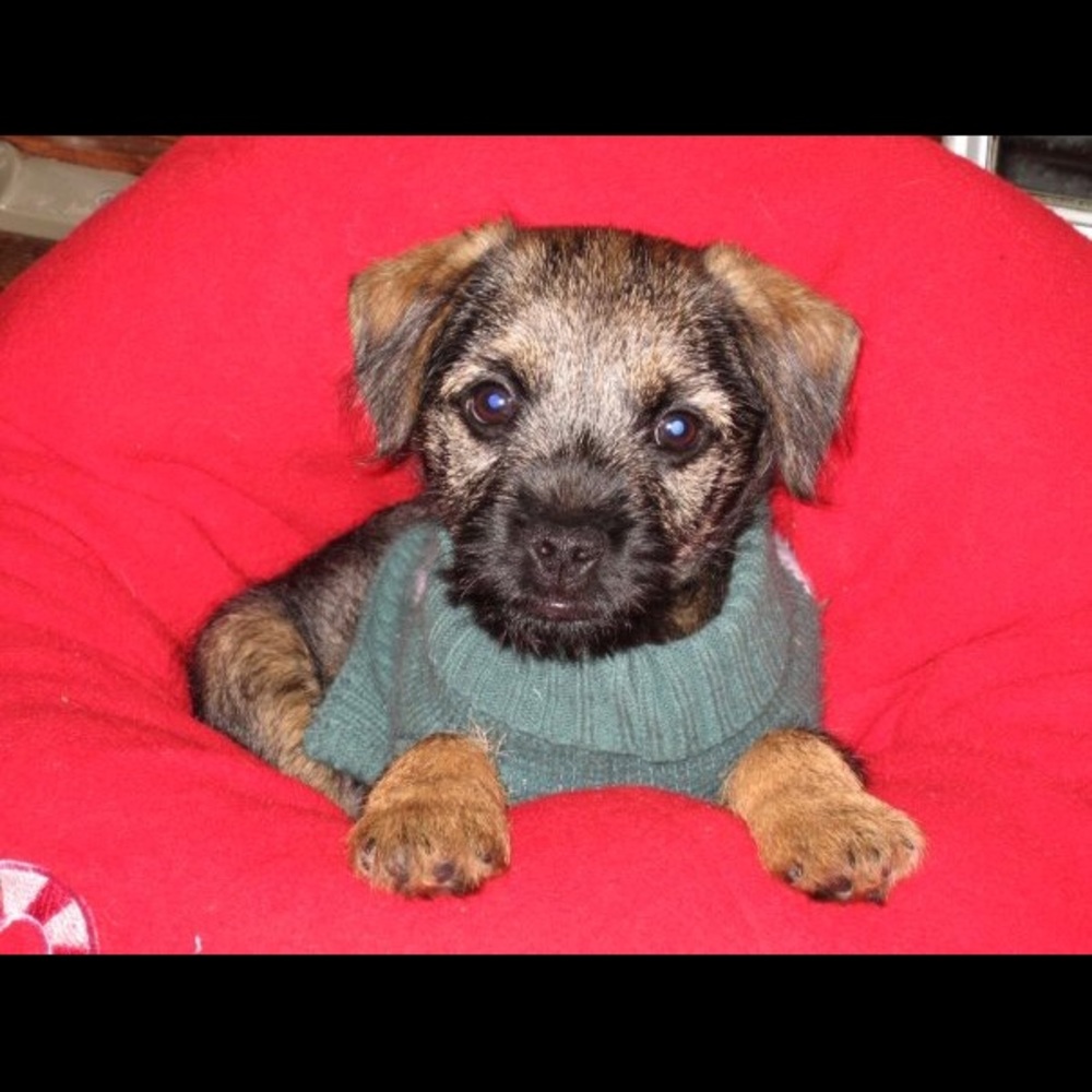 Meet your Posher, Margie