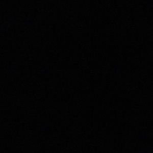 Meet your Posher, Terry