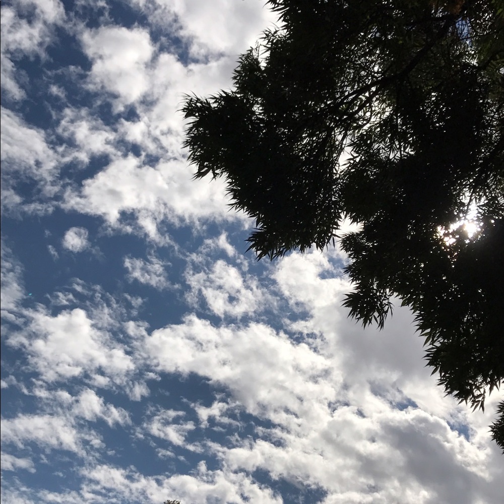 Meet your Posher, Lindsey