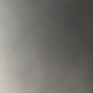 Meet your Posher, Carina