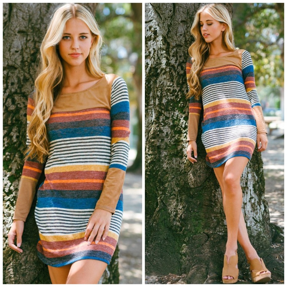 Suede Stripe Dress - Picture 4 of 5