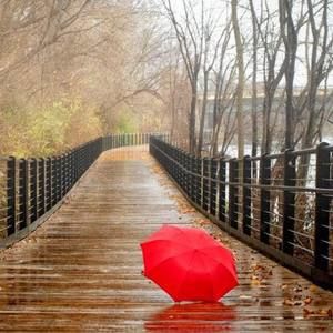 Meet your Posher, Kris