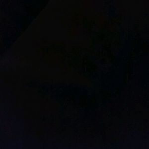 Meet your Posher, Nora