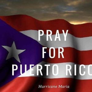 Meet your Posher, Liz