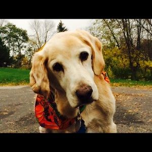 Meet your Posher, Anne