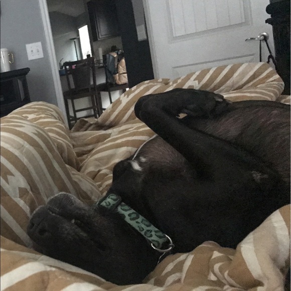 🙋🏻 MEET THE POSHER! - Picture 5 of 5