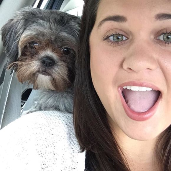 Meet your Posher, Hollis - Picture 1 of 1