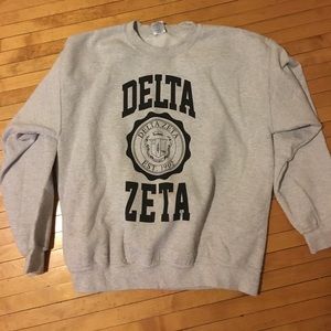 Delta zeta colligate sweatshirt