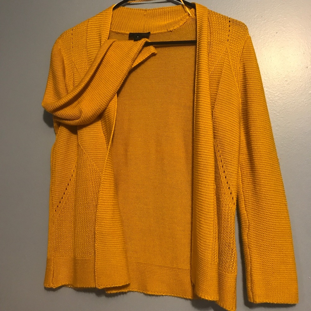 Cardigan