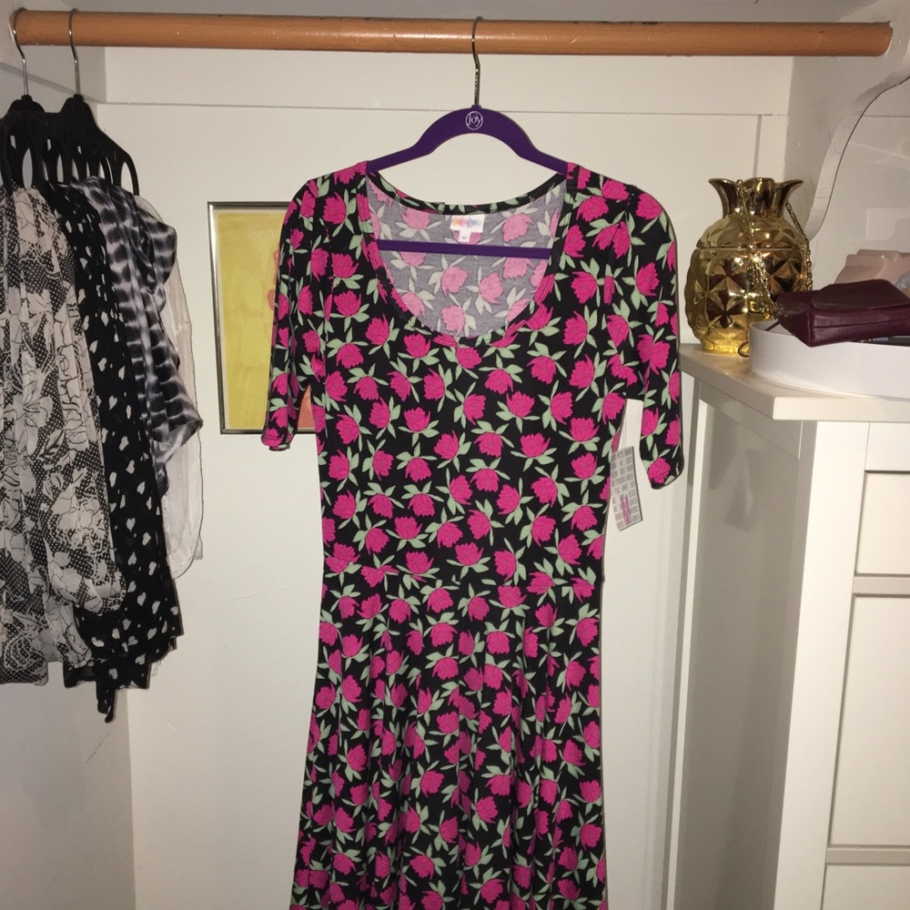 FINAL DROP BNWT LuLaRoe Nicole dress M