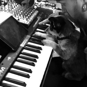 Meet your Posher, Trent