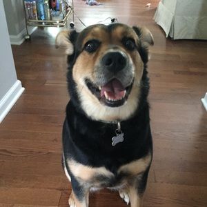 Meet your Posher, Tommy