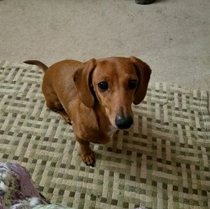 Meet your Posher, Kathy