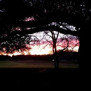 Meet your Posher, Lee