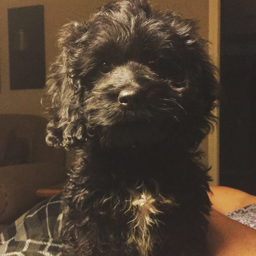 Meet your Posher, Nichole