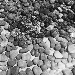 Meet your Posher, Dalton