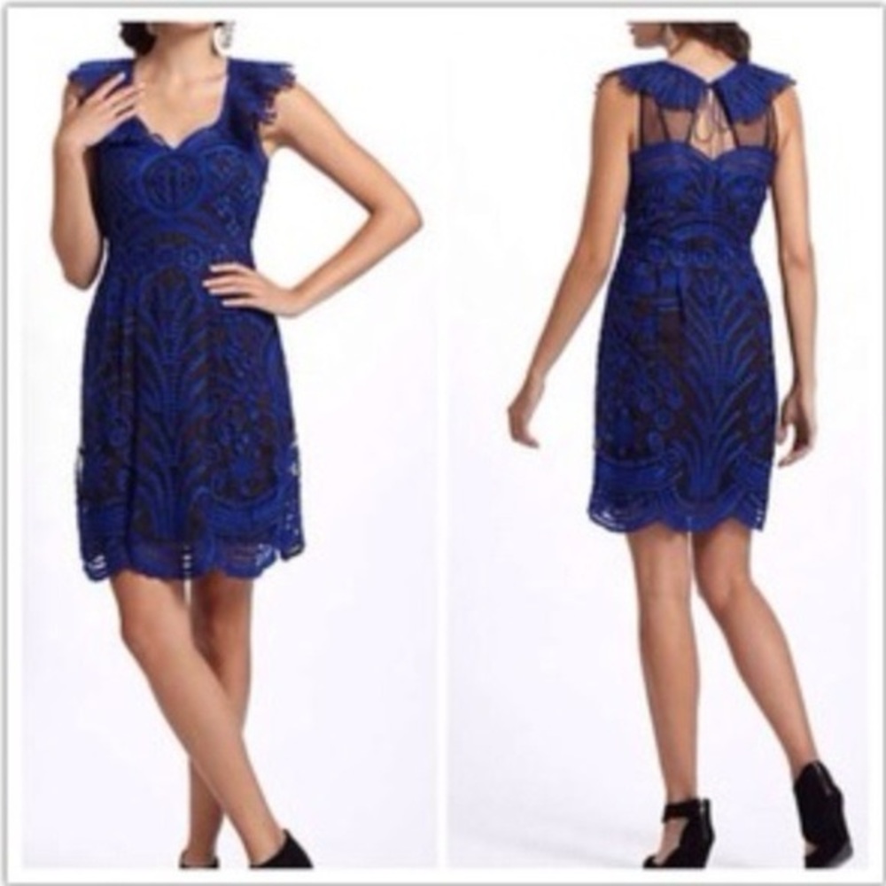 Anthropologie Embroidered Sheer Dress