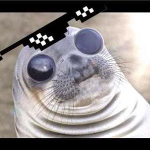 Meet your Posher, Eli