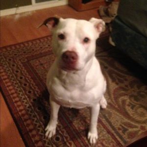 Meet your Posher, Patrick