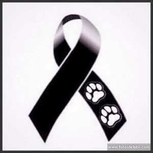 Meet your Posher, Abraham