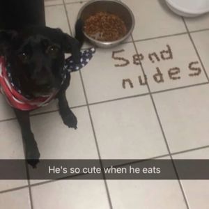 Meet your Posher, Callen