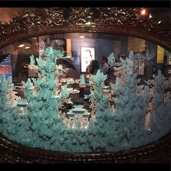 Meet Your Posher, Rosie! - Picture 5 of 6