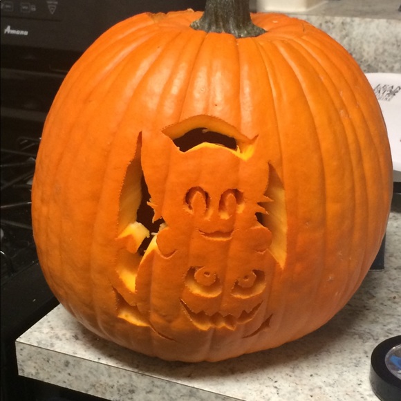 Meet Your Posher, Rosie! - Picture 2 of 6