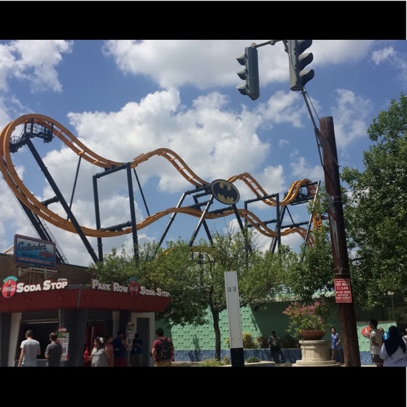 Meet Your Posher, Rosie! - Picture 6 of 6