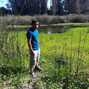 Meet your Posher, Leo