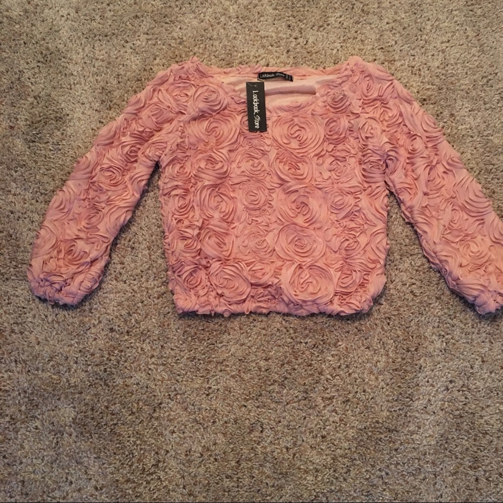 3D Rose Blush Cropped Long Sleeve Blouse