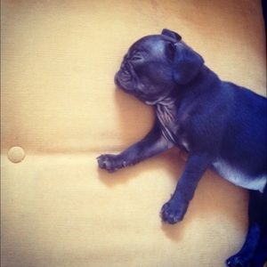 Meet your Posher, Edie