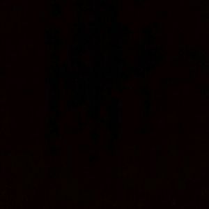 Meet your Posher, Steph