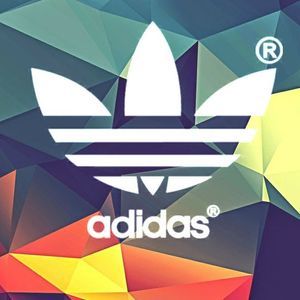 Meet your Posher, Ryder