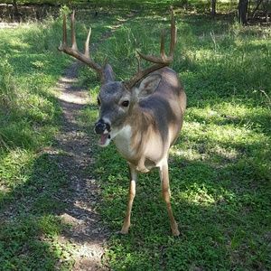 Meet your Posher, Faith
