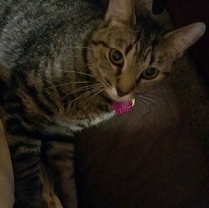 Meet your Posher, Marisa