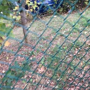 Meet your Posher, Leila