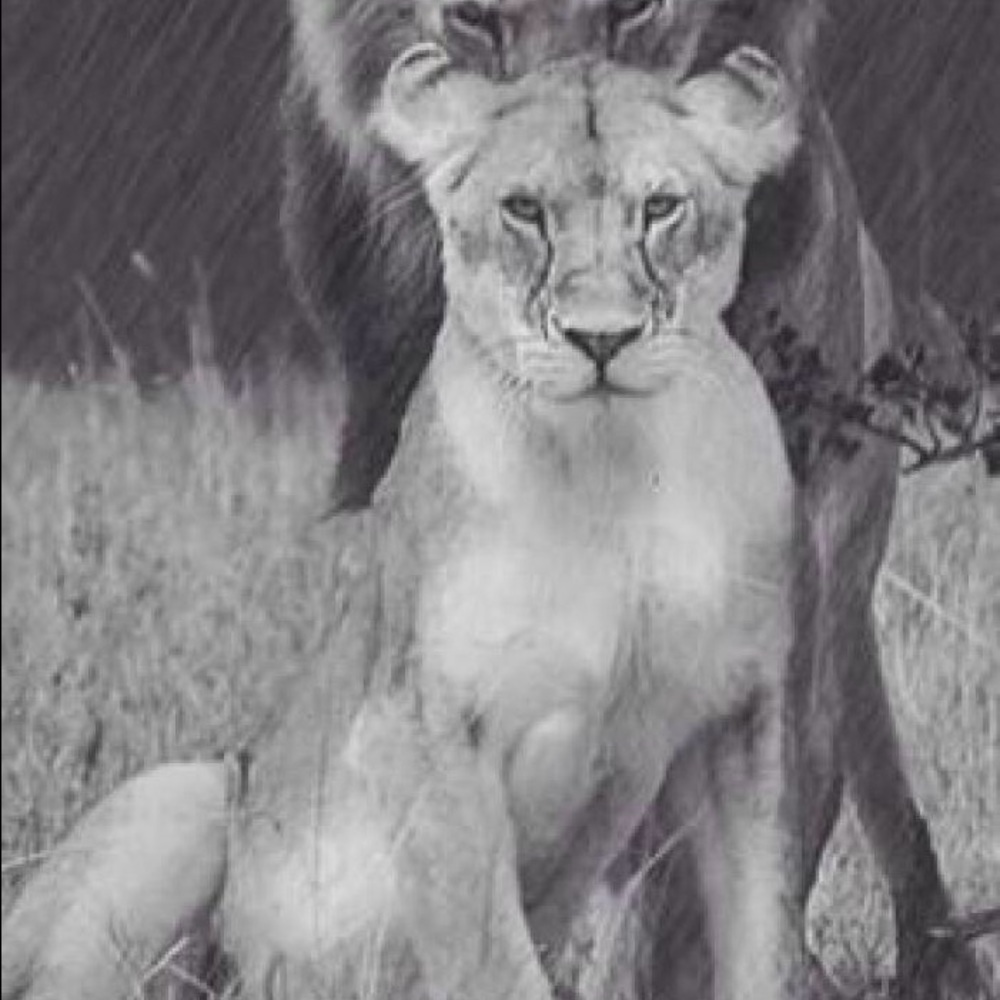 Meet your Posher, Cristina