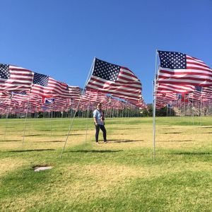 Meet your Posher, Lilibeth